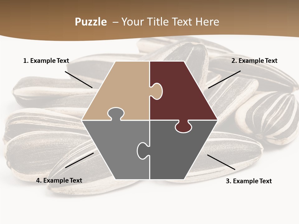 Closeup White Studio PowerPoint Template