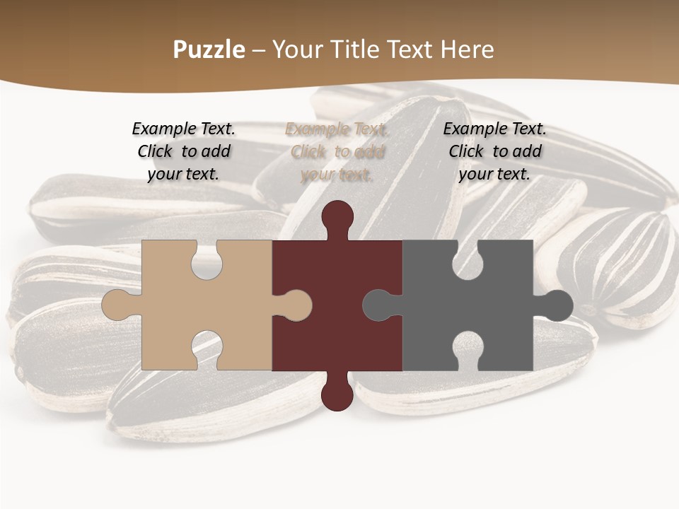 Closeup White Studio PowerPoint Template