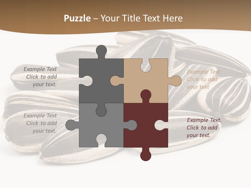 Closeup White Studio PowerPoint Template