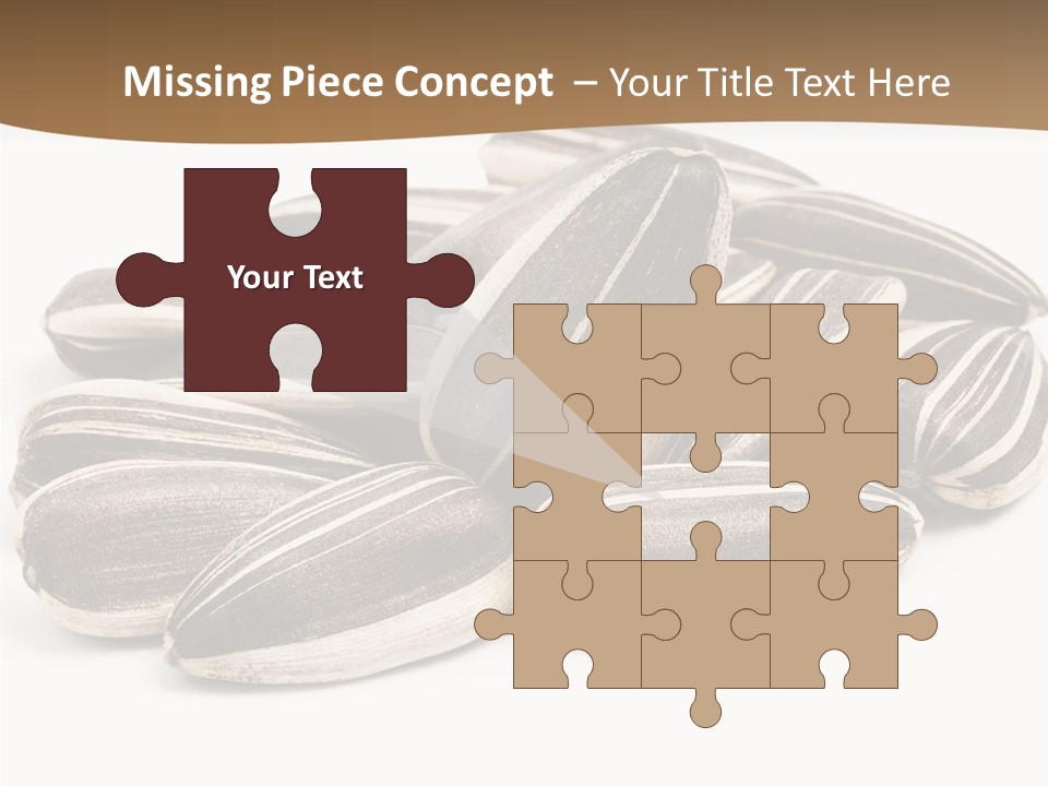 Closeup White Studio PowerPoint Template