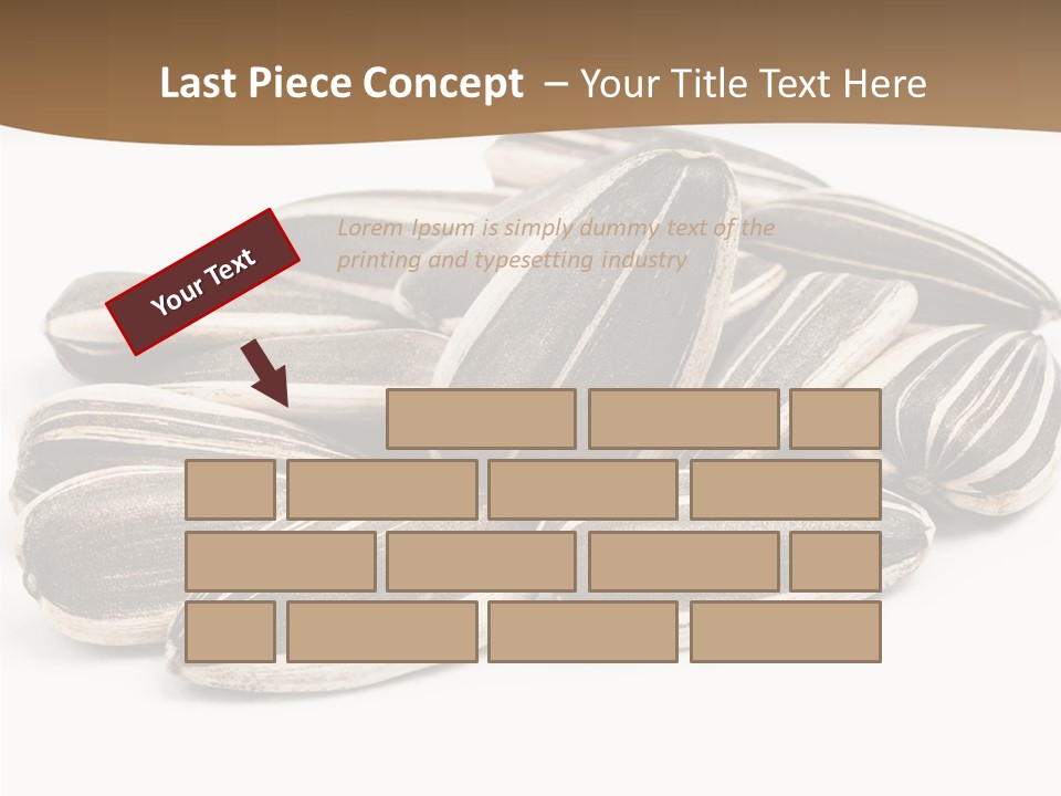Closeup White Studio PowerPoint Template