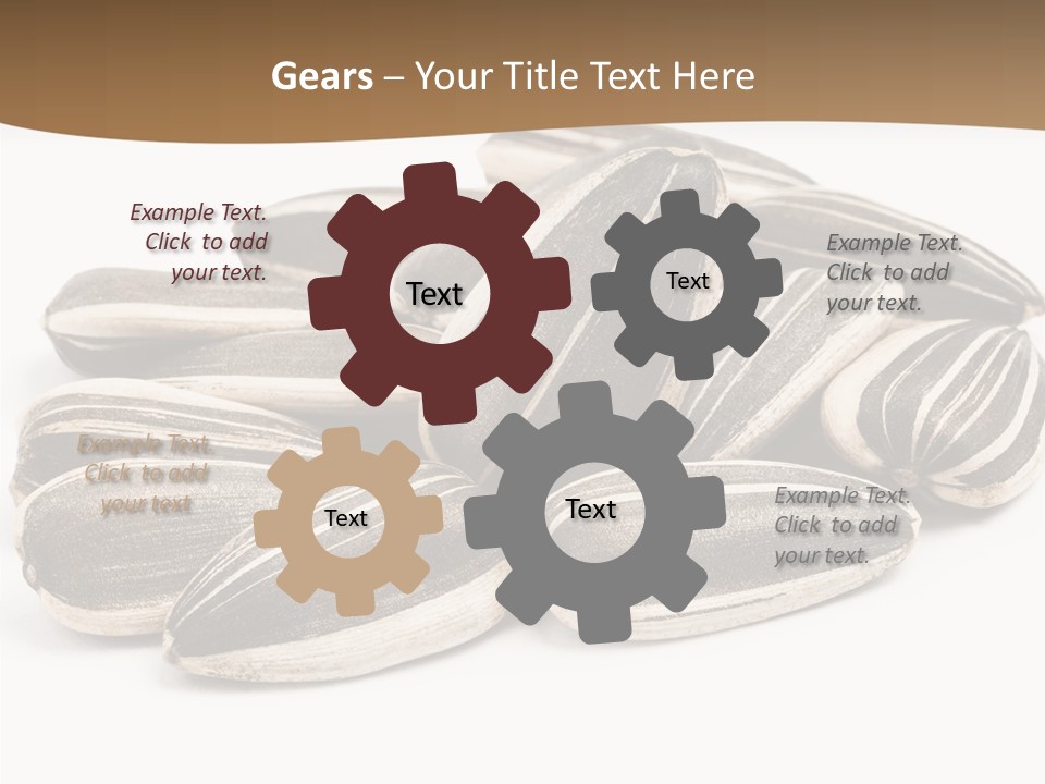 Closeup White Studio PowerPoint Template