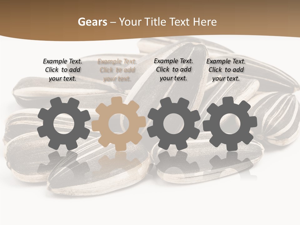 Closeup White Studio PowerPoint Template