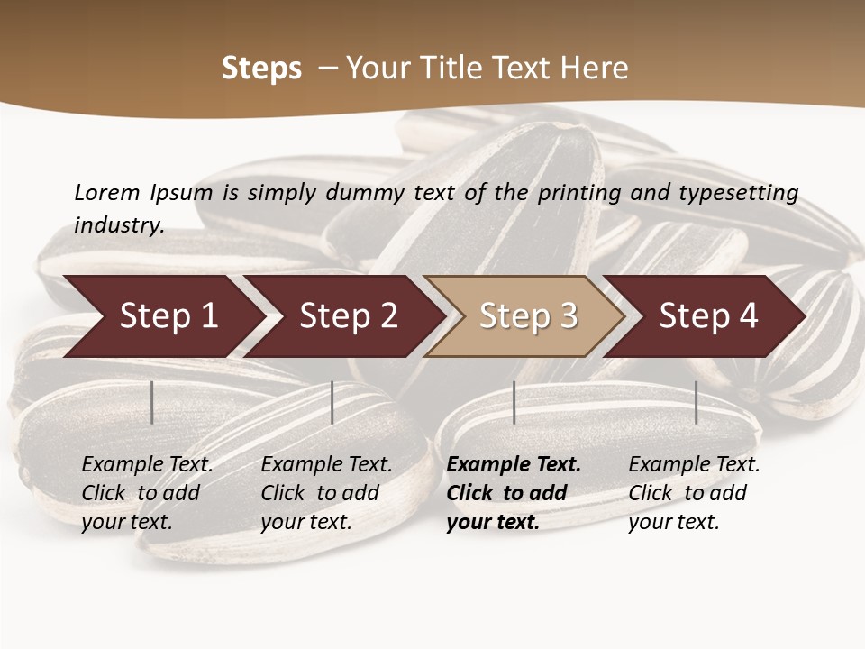 Closeup White Studio PowerPoint Template