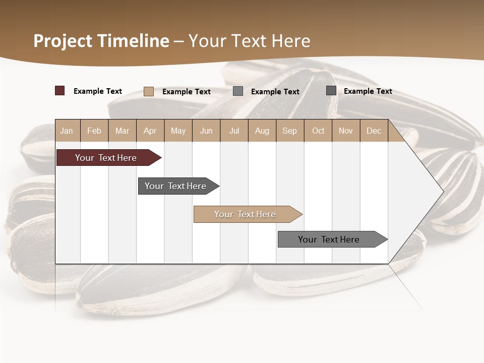 Closeup White Studio PowerPoint Template