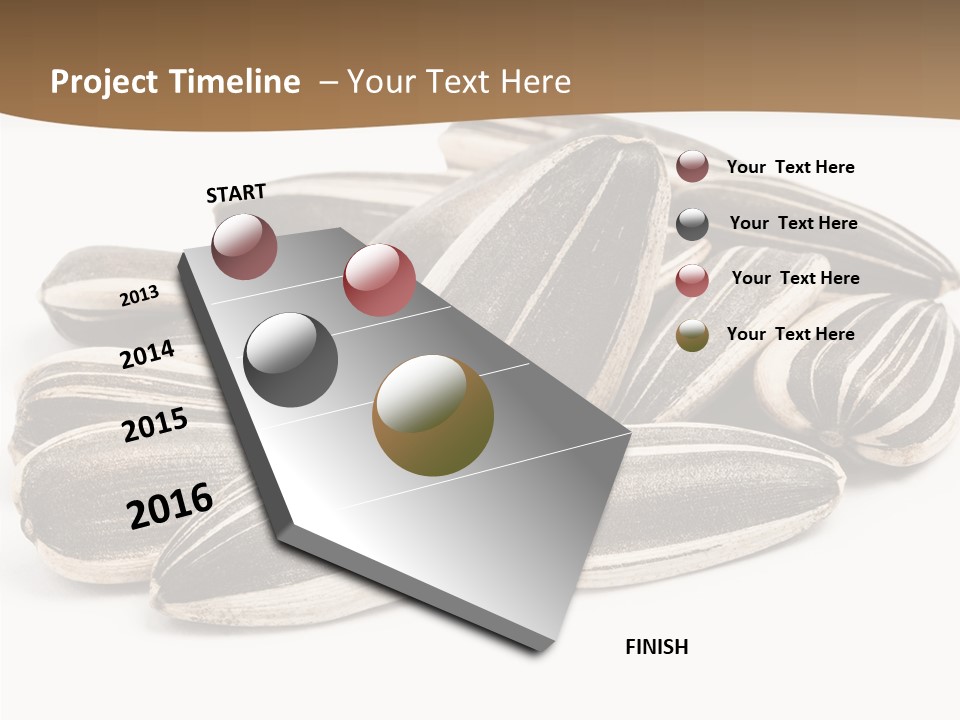 Closeup White Studio PowerPoint Template