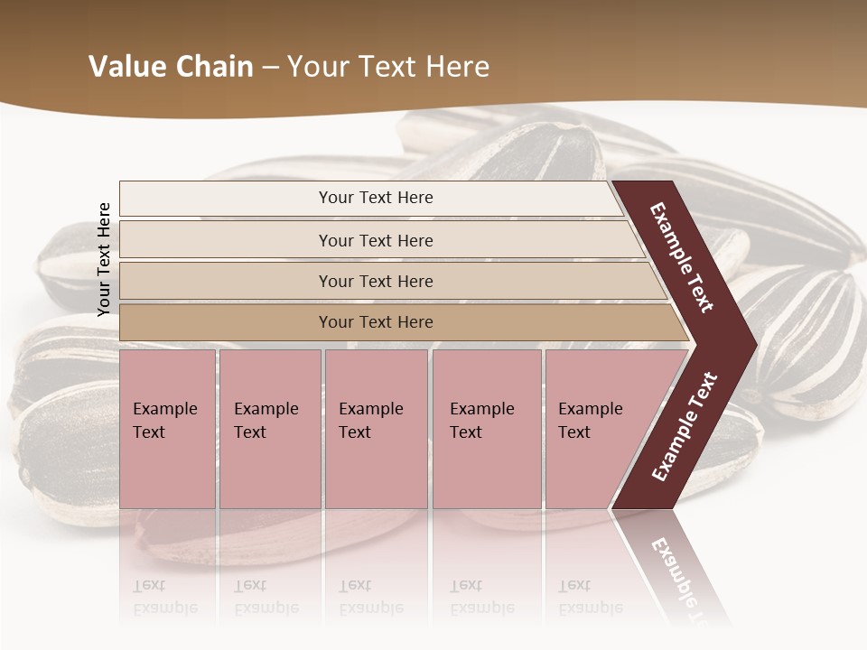 Closeup White Studio PowerPoint Template