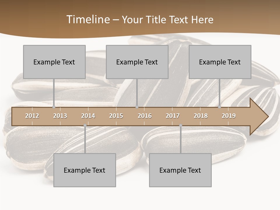 Closeup White Studio PowerPoint Template