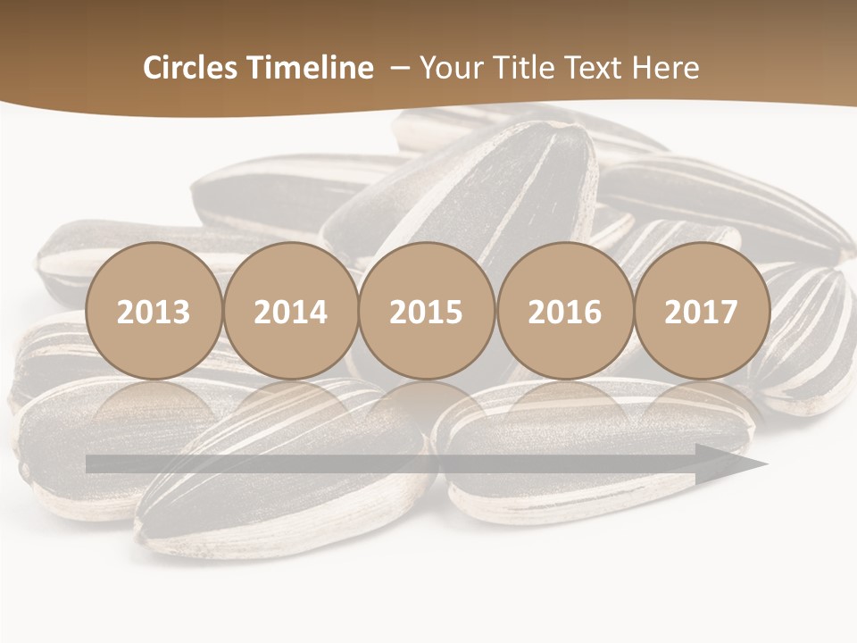 Closeup White Studio PowerPoint Template