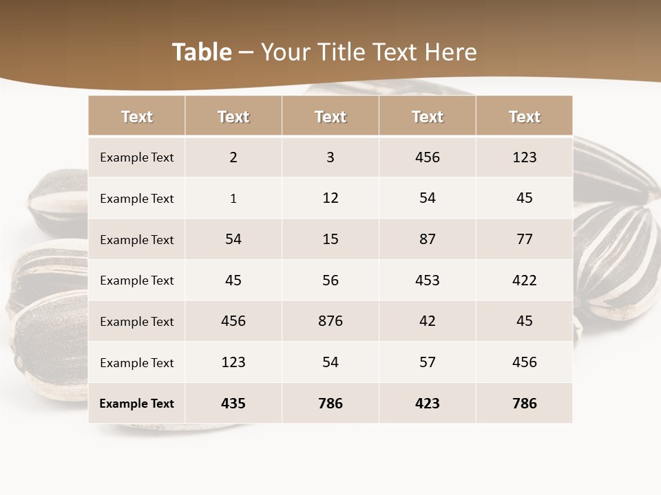 Closeup White Studio PowerPoint Template