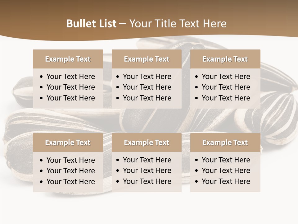 Closeup White Studio PowerPoint Template