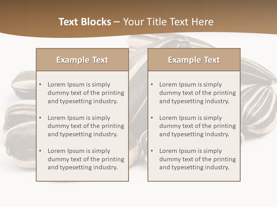 Closeup White Studio PowerPoint Template