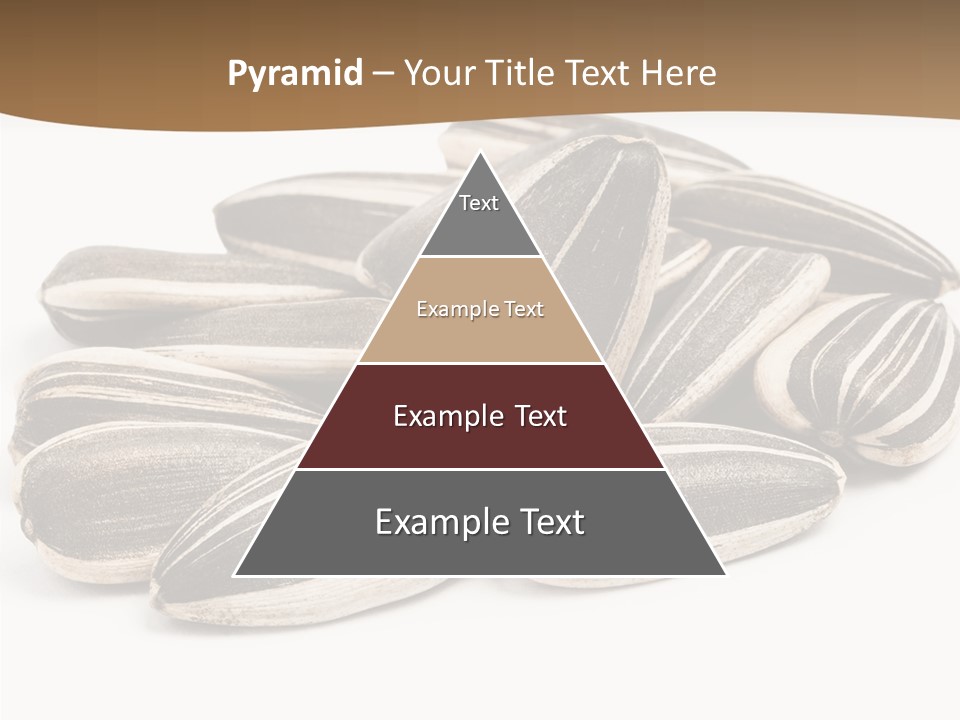 Closeup White Studio PowerPoint Template