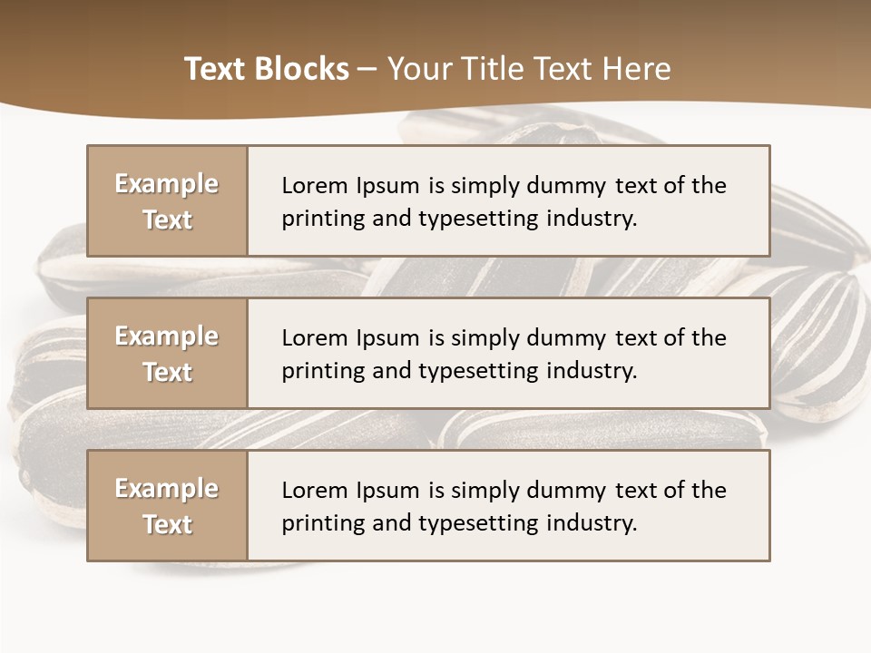 Closeup White Studio PowerPoint Template