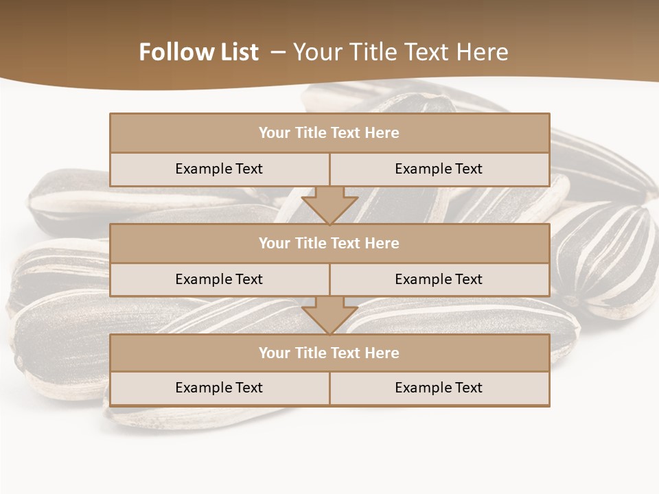 Closeup White Studio PowerPoint Template