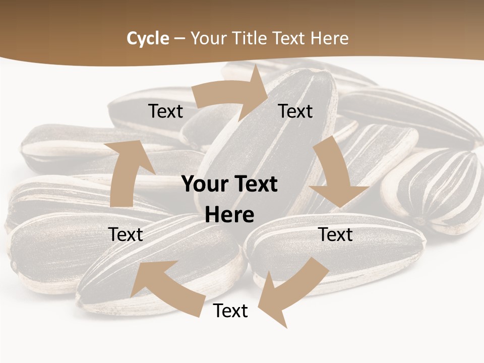 Closeup White Studio PowerPoint Template