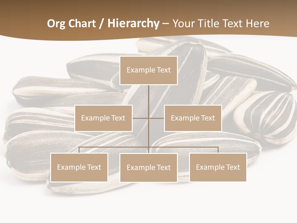 Closeup White Studio PowerPoint Template