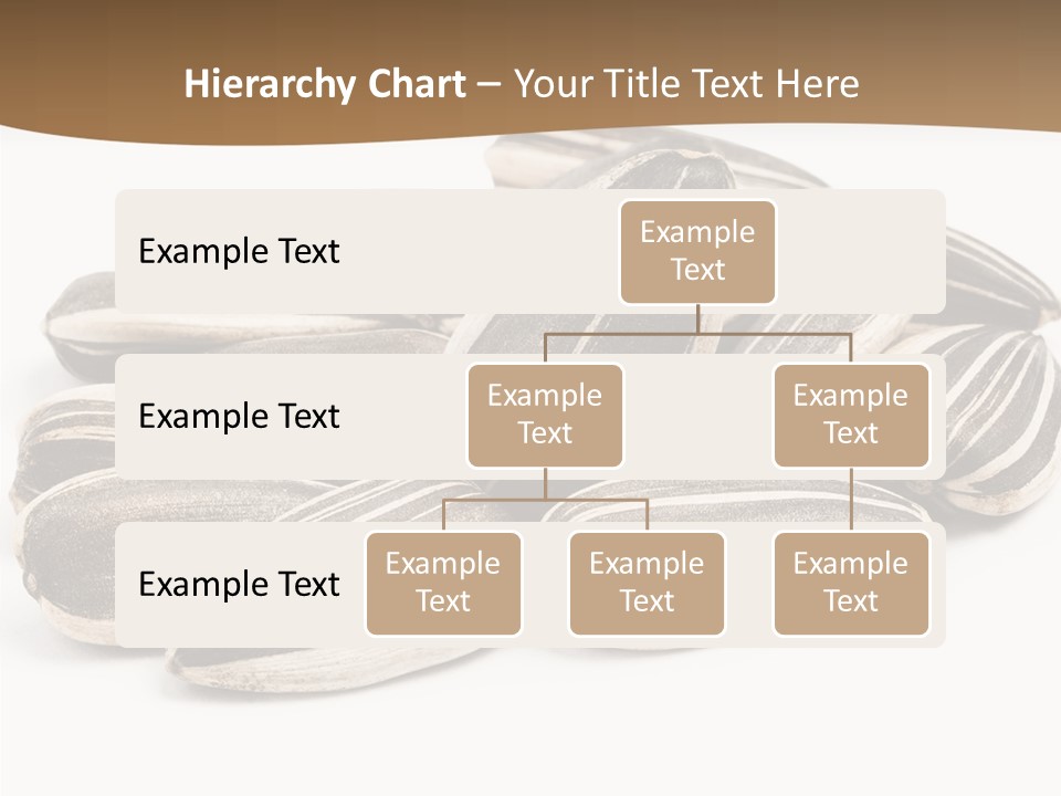 Closeup White Studio PowerPoint Template