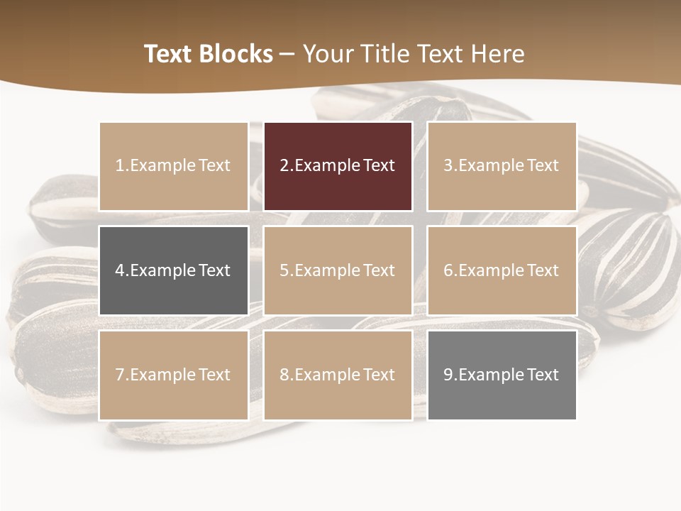 Closeup White Studio PowerPoint Template