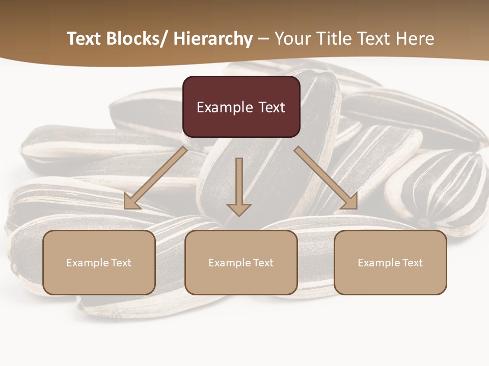 Closeup White Studio PowerPoint Template