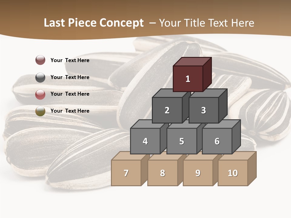 Closeup White Studio PowerPoint Template