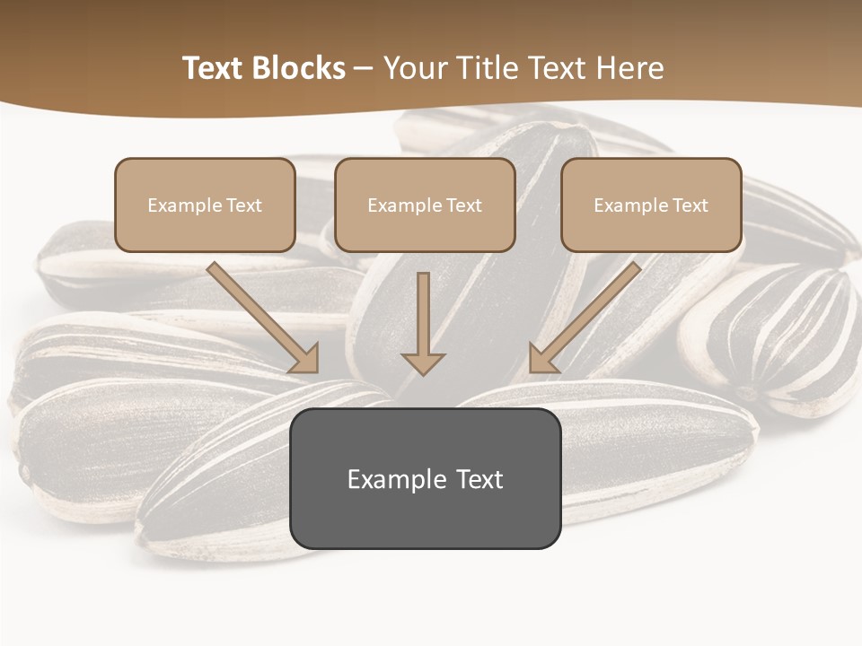 Closeup White Studio PowerPoint Template