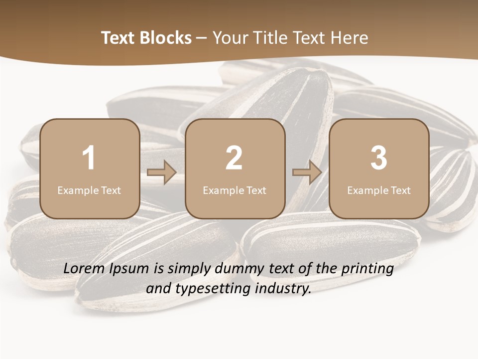 Closeup White Studio PowerPoint Template