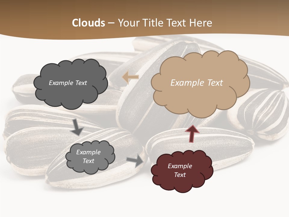 Closeup White Studio PowerPoint Template