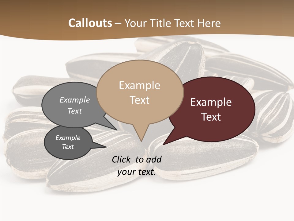 Closeup White Studio PowerPoint Template