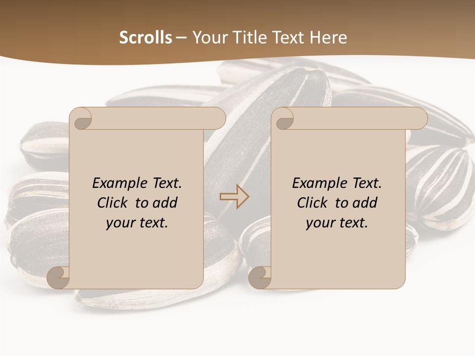 Closeup White Studio PowerPoint Template