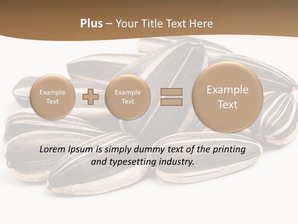 Closeup White Studio PowerPoint Template