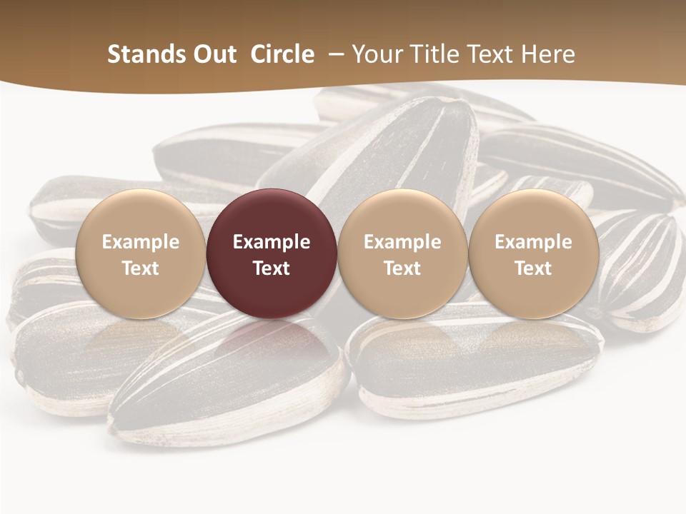 Closeup White Studio PowerPoint Template