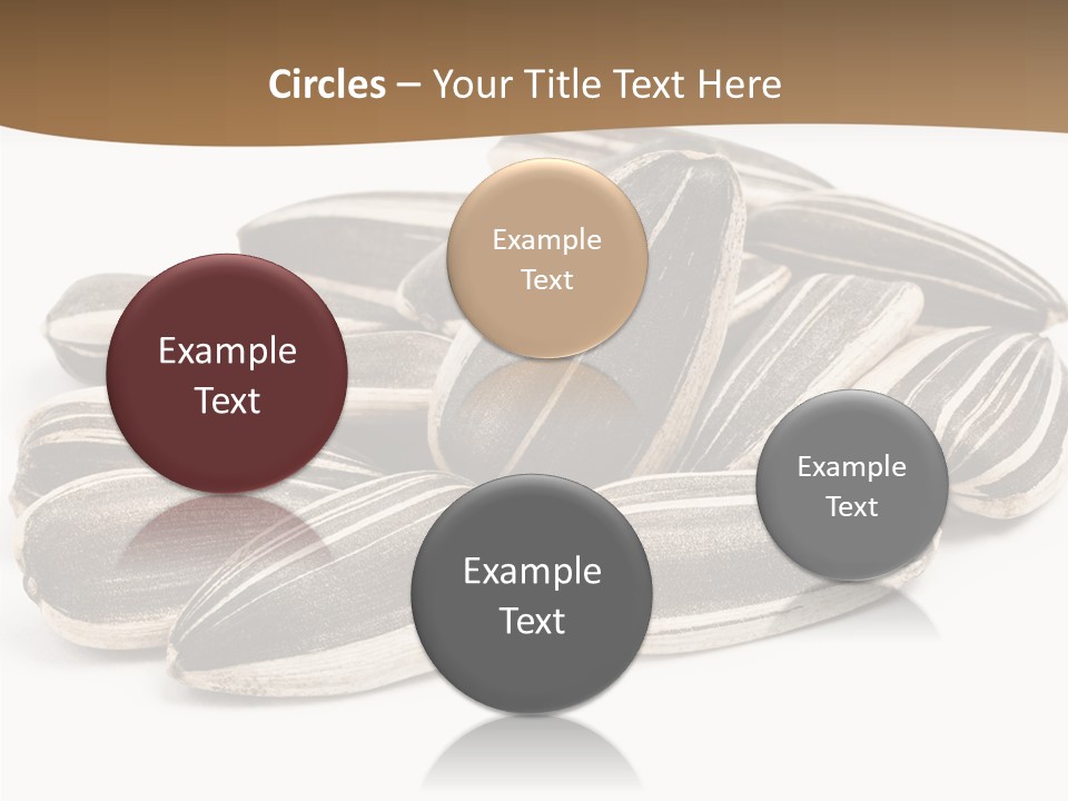 Closeup White Studio PowerPoint Template