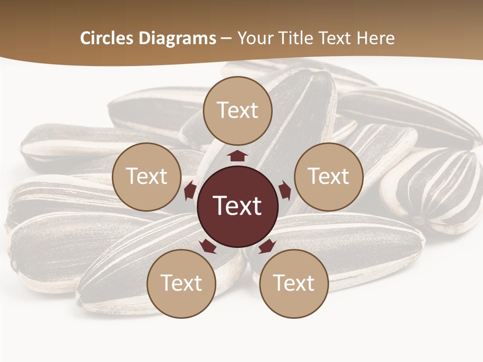 Closeup White Studio PowerPoint Template