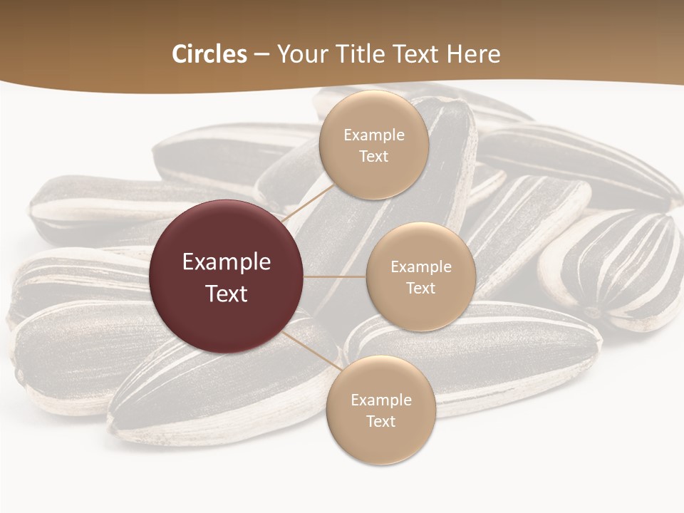 Closeup White Studio PowerPoint Template