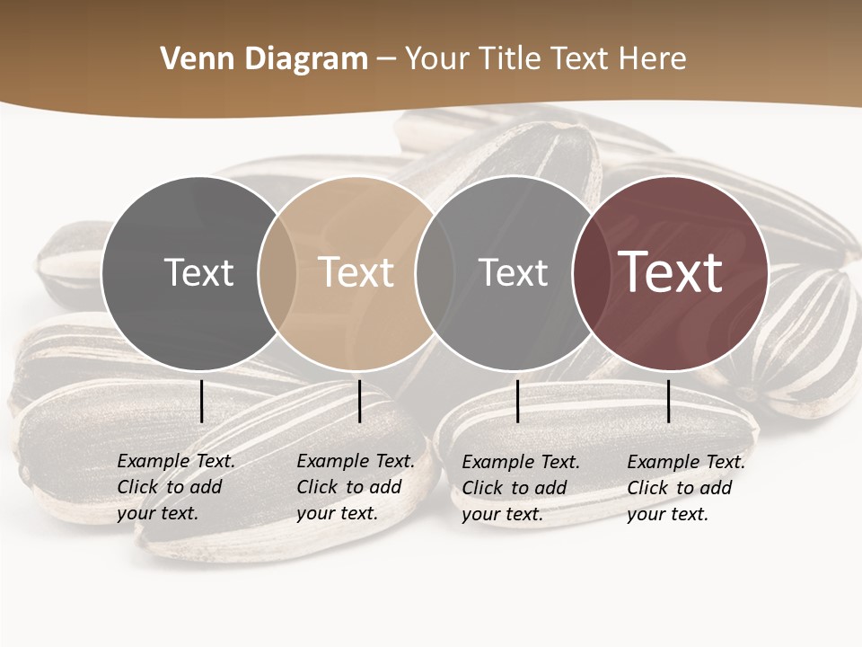 Closeup White Studio PowerPoint Template