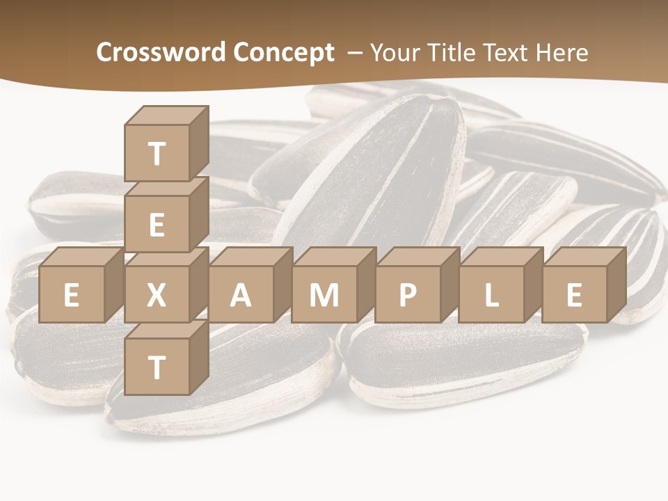 Closeup White Studio PowerPoint Template