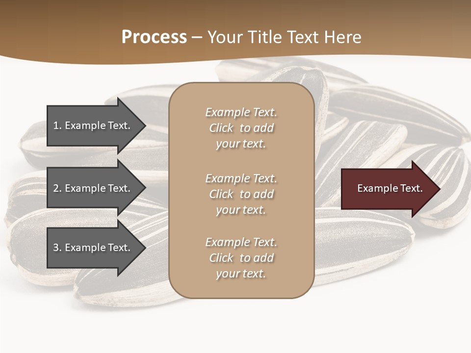 Closeup White Studio PowerPoint Template