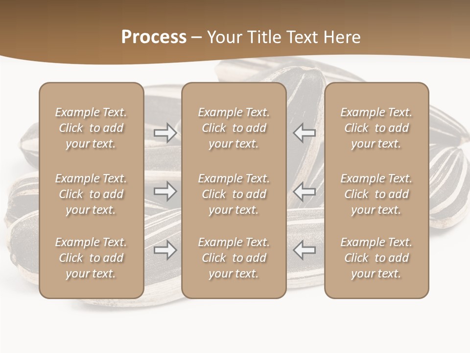 Closeup White Studio PowerPoint Template