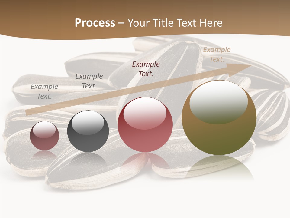 Closeup White Studio PowerPoint Template