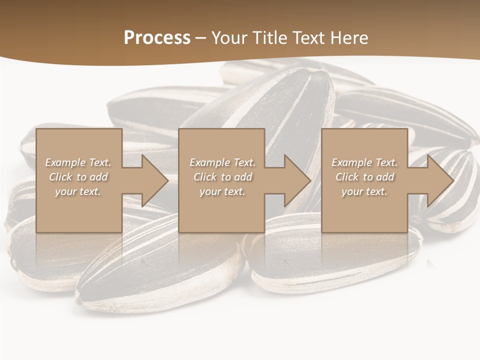 Closeup White Studio PowerPoint Template