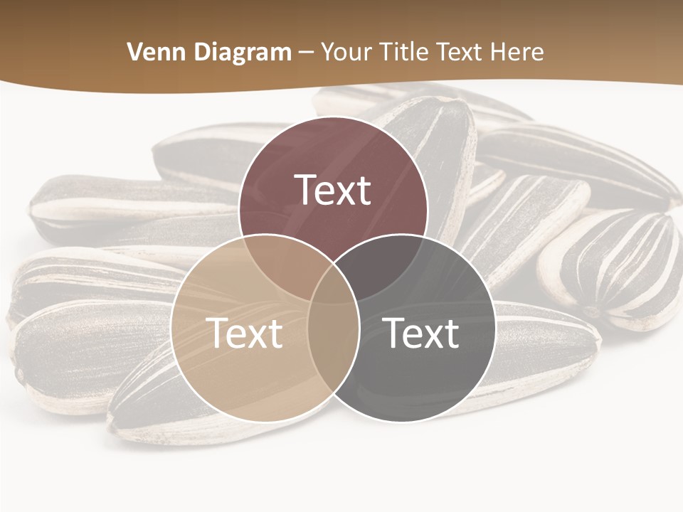 Closeup White Studio PowerPoint Template