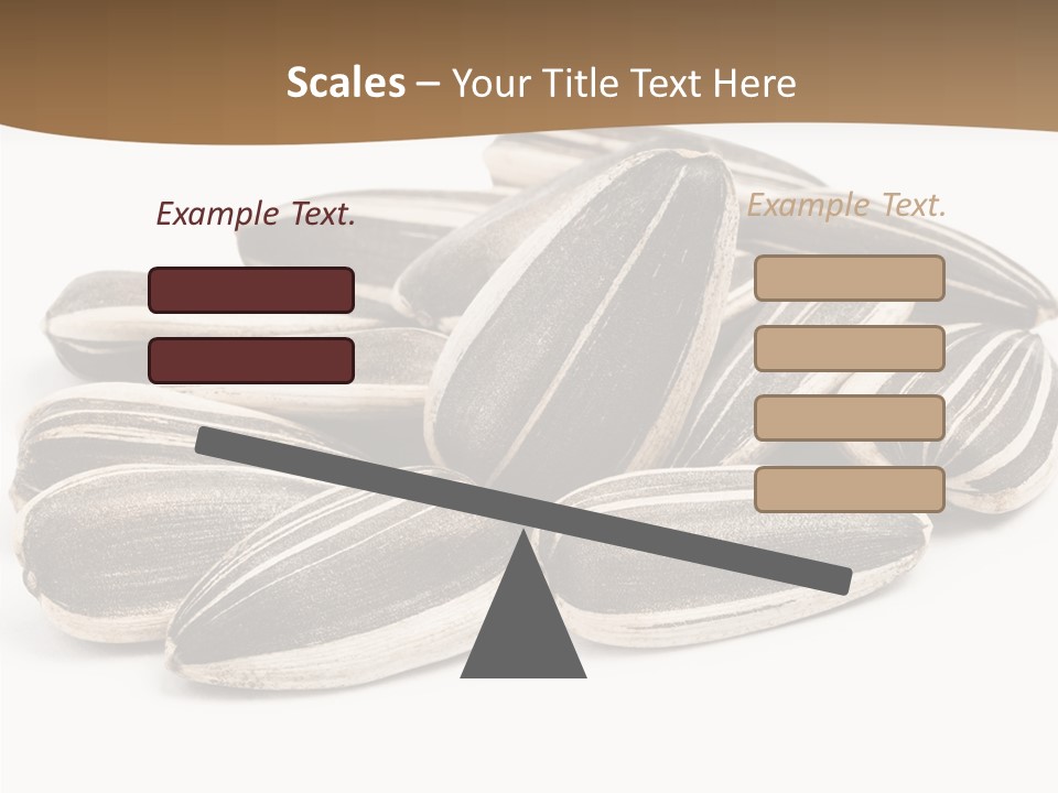 Closeup White Studio PowerPoint Template