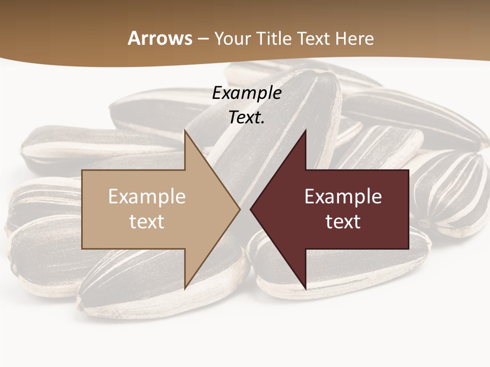 Closeup White Studio PowerPoint Template