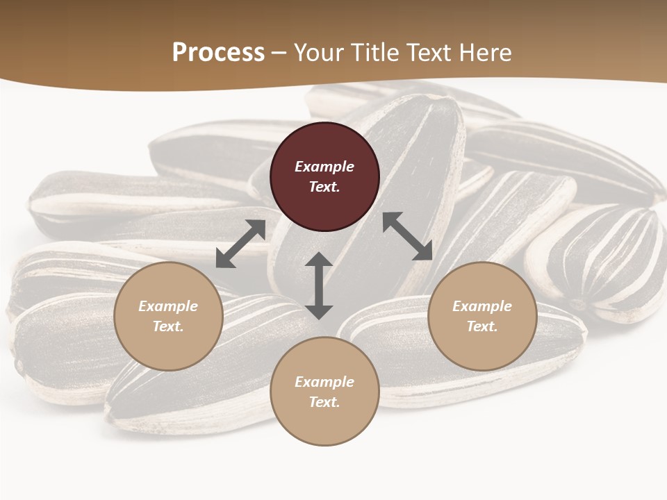 Closeup White Studio PowerPoint Template