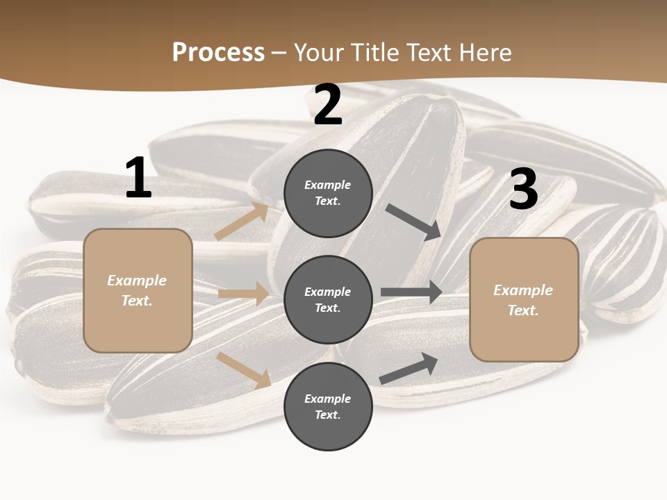 Closeup White Studio PowerPoint Template