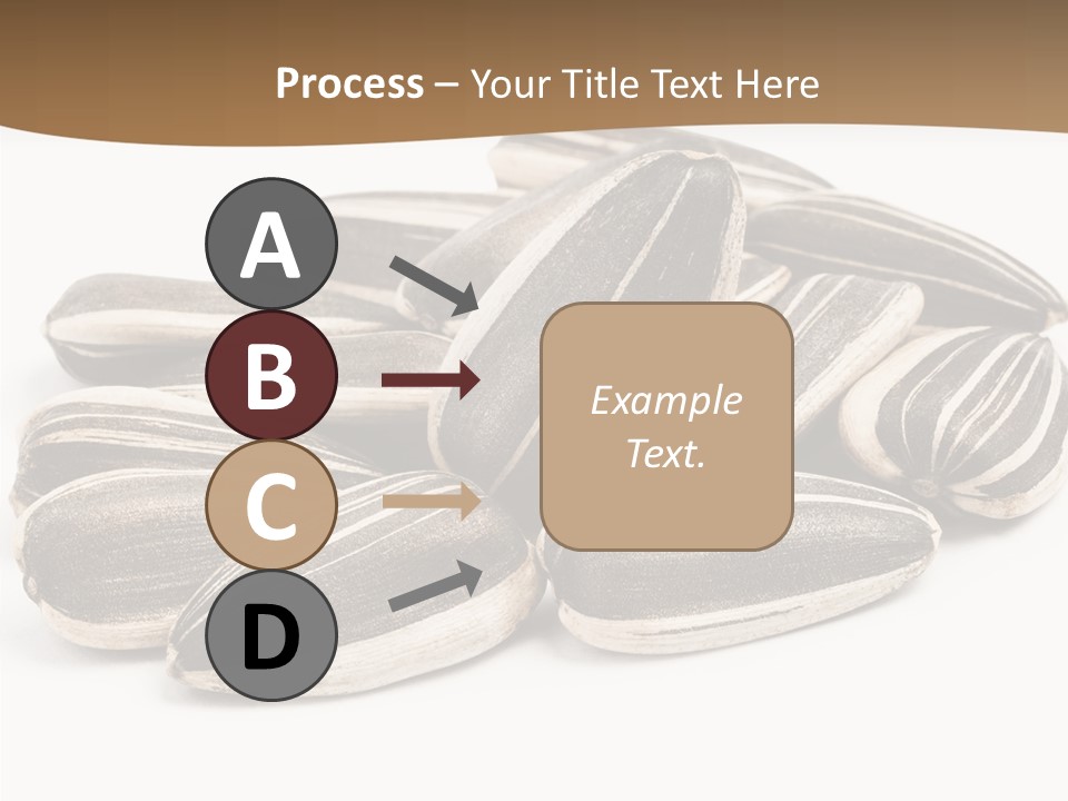 Closeup White Studio PowerPoint Template