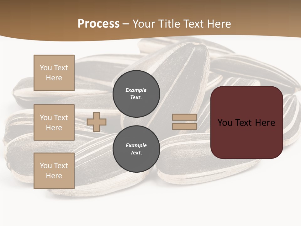 Closeup White Studio PowerPoint Template