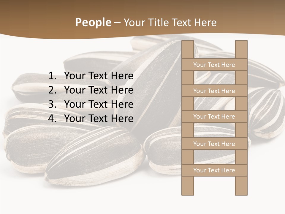 Closeup White Studio PowerPoint Template