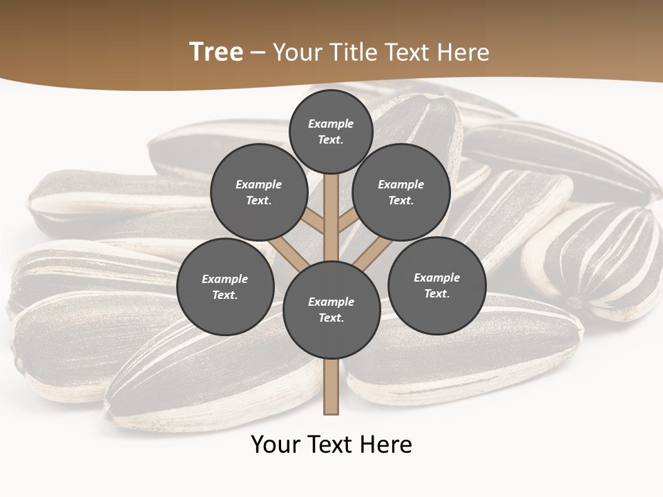 Closeup White Studio PowerPoint Template